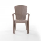 Side 2'li Rattan Sandalye Cappuccino-1