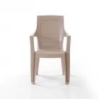 Efes 2'li Rattan Sandalye Cappuccino-0