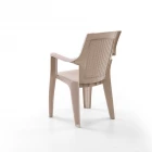 Efes 2'li Rattan Sandalye Cappuccino-2