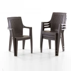 Efes 4'lü Rattan Sandalye Kahve-0