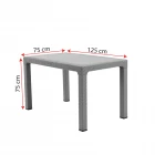 King 4 Kişilik Rattan Masa Sandalye Takımı Siyah-4