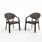 Bamboo 2 Kişilik Rattan Masa Sandalye Takımı Kahve-1